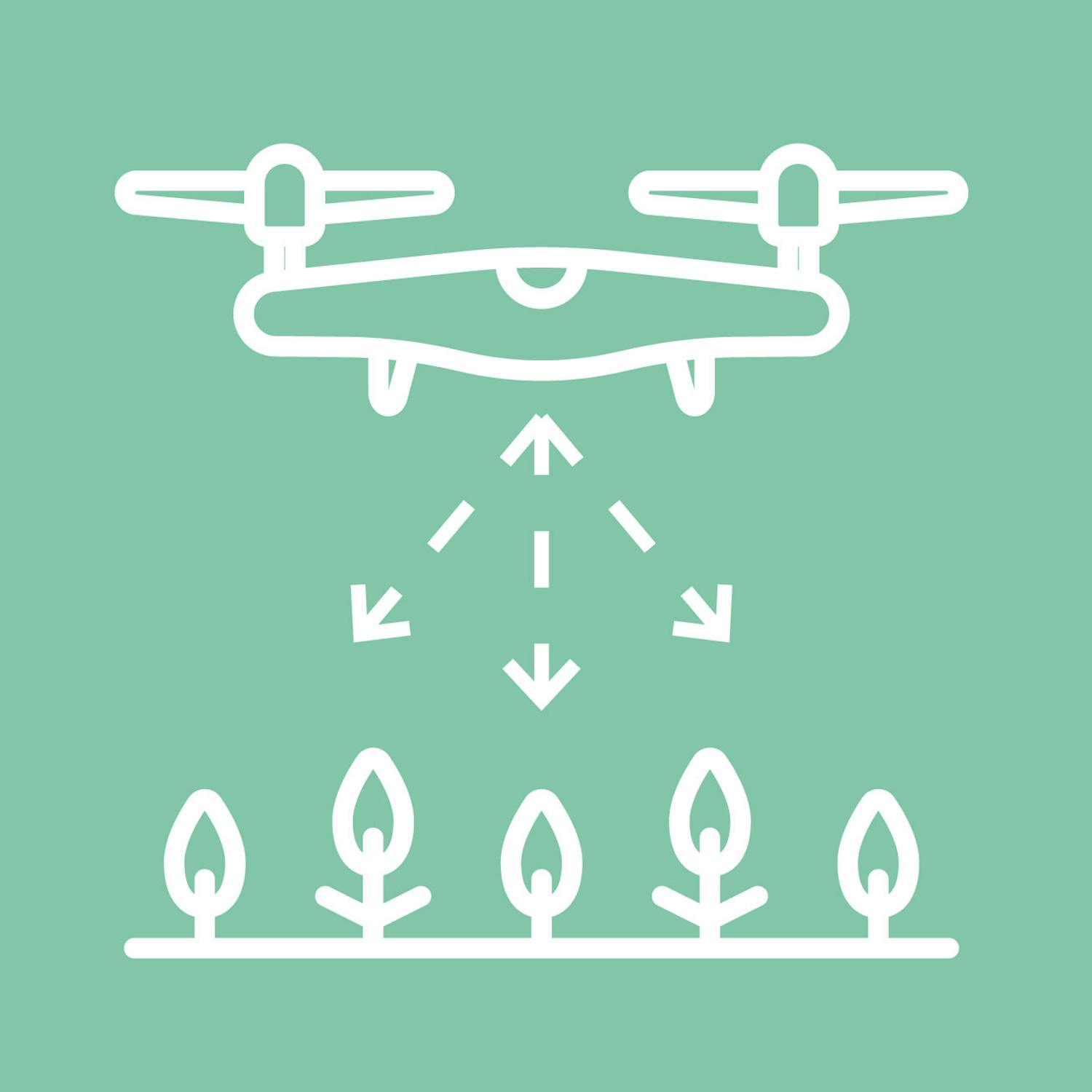 Et direkte skud fra oven Det giver give en spændende komposition at skyde direkte ned og lade landskabet forme strukturerne.